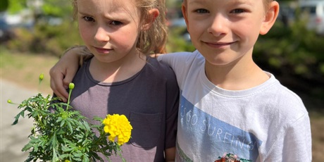 przedszkolni-ogrodnicy-sadzimy-kwiaty-10520.jpg