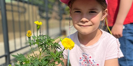 przedszkolni-ogrodnicy-sadzimy-kwiaty-10529.jpg